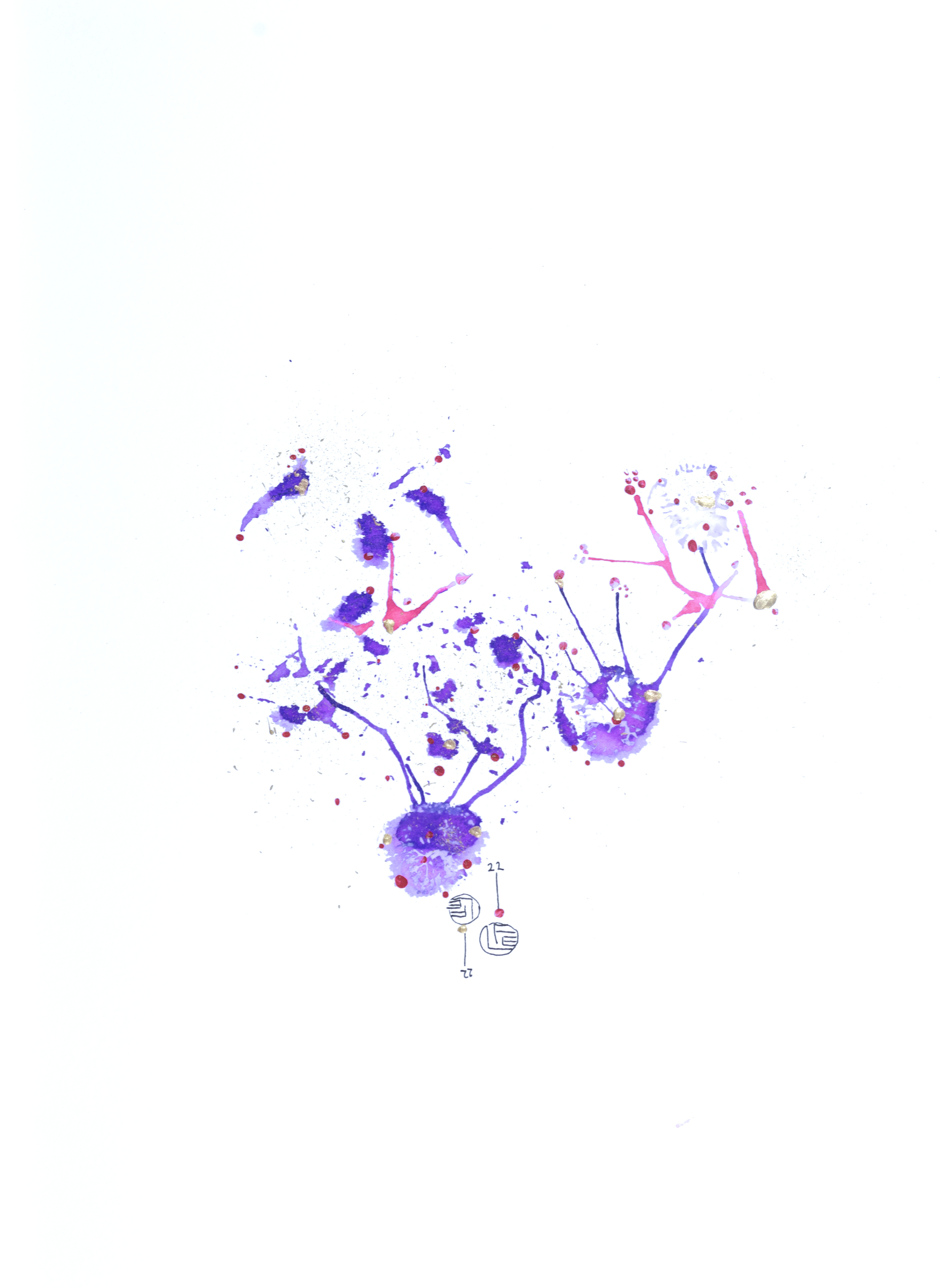 Le Songe des Abysses